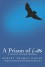 A Prison of Lies: A Journey Through Madness - Robert Thomas Doran