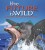 The Future is Wild: A Natural History of the Future - 'Dougal Dixon',  'John Adams'