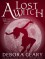 A Lost Witch (A Modern Witch Series: Book 7) - Debora Geary