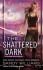 The Shattered Dark - Sandy Williams