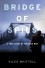 Bridge of Spies: A True Story of the Cold War - Giles Whittell