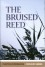 Bruised Reed (Puritan Paperbacks) - Richard Sibbes