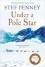 Under A Pole Star - Stef Penney