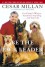 Be the Pack Leader: Use Cesar's Way to Transform Your Dog . . . and Your Life - Cesar Millan