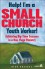 Help! I'm a Small Church Youth Worker: Achieving Big-Time Success in a Non-Mega Ministry - Rich Grassel