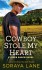 Cowboy Stole My Heart (A River Ranch Novel) - Soraya Lane