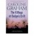 The Killings at Badger's Drift - Caroline Graham