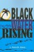 Blackwater Rising - Anne B. Jones
