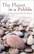 The Planet in a Pebble: A Journey into Earth's Dee... - Jan Zalasiewicz