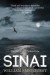 Sinai - William Smethurst