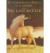 The Last Battle (Chronicles of Narnia, #7) - C.S. Lewis