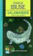Salamander and Other Stories - Masuji Ibuse, Shaw, John Bester