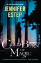 Cold Burn of Magic - Jennifer Estep