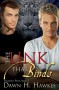 The Link That Binds - Dawn H. Hawkes