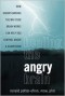 Healing the Angry Brain: How Understanding the Way Your Brain Works Can Help You Control Anger and Aggression - Ronald T. Potter-Efron