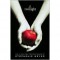 Twilight Outtakes - Extended Prom Remix (Twilight, #1.4) - Stephenie Meyer
