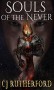 Souls of the Never: A Young Adult and Teens, Fantasy, Scifi, Romance, Time Travel series, with Dragons, Elves and Faeries. (Tales of the Neverwar Series Book 1) - Colin Rutherford, CJ Rutherford