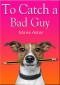 To Catch a Bad Guy (Book One) (Janet Maple Series) - Marie Astor