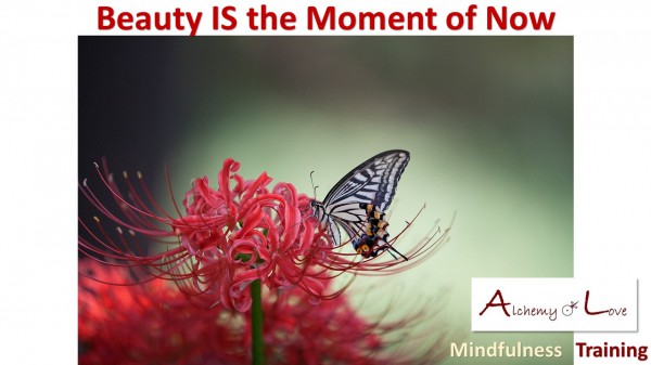 Living in the present moment and beauty image from Mindfulness Training