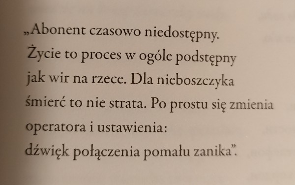 Z wiersza [Był listonoszem w Amsterdamie...]