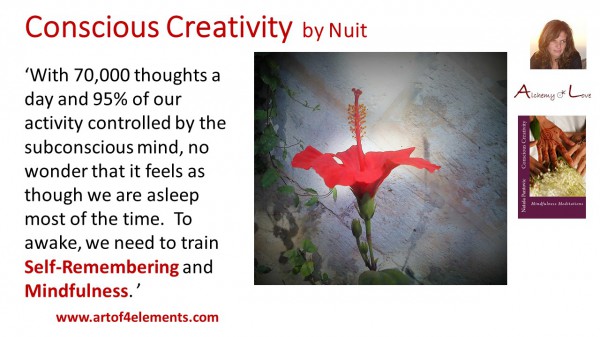 70000-thoughts-conscious-creativity-mindfulness-meditations-book-quote-by-natasa-pantovic-nuit