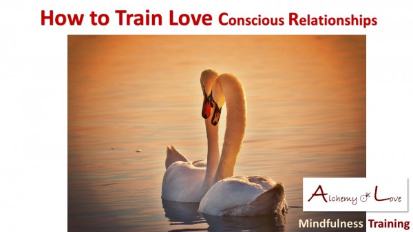 Conscious Relationships: How to Train Love