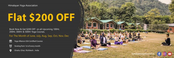 200 hour yoga teacher training course discount