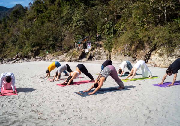 300 Hour yoga teacher training in Rishikesh