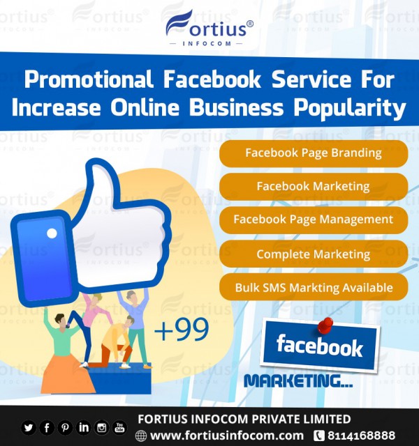 Increase Online Business Popularity Through Facebook &amp; Bulk SMS Service