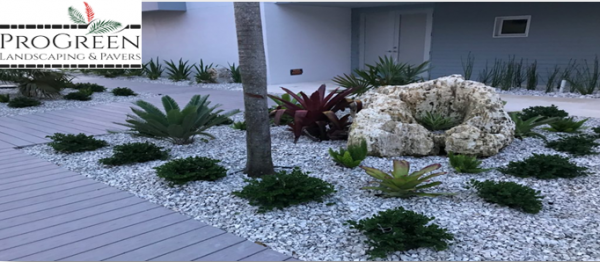 Landscaping companies – Fort Myers