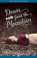 Down from the Mountain - Elizabeth Fixmer