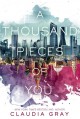 A Thousand Pieces of You - Claudia Gray