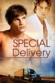 Special Delivery - Heidi Cullinan