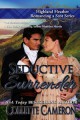 Seductive Surrender - Collette Cameron