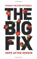 The Big Fix: Hope After Heroin - Tracey Helton Mitchell