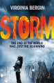 The Storm - Virginia Bergin