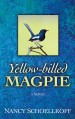 Yellow-Billed Magpie - Nancy Schoellkopf