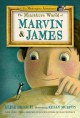 The Miniature World of Marvin and James - Elise Broach, Kelly Murphy