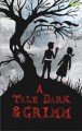 A Tale Dark and Grimm - Adam Gidwitz, Khairi Rumantati, Lala Bohang