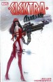 Elektra: Assassin - Frank Miller, Bill Sienkiewicz