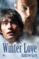 Winter Love - Andrew Grey