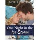 One Night in the Ice Storm - Noelle Adams