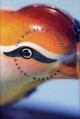 The Wind-Up Bird Chronicle - Jay Rubin, Haruki Murakami