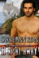 A Night Away - Carrie Ann Ryan