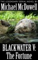 Blackwater V: The Fortune - Michael McDowell