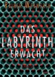 Das Labyrinth erwacht: Thriller - Rainer Wekwerth