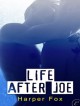 Life After Joe - Harper Fox