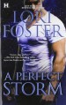 A Perfect Storm - Lori Foster