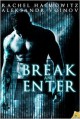 Break and Enter - Rachel Haimowitz, Aleksandr Voinov