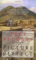 Picture Perfect - Jodi Picoult